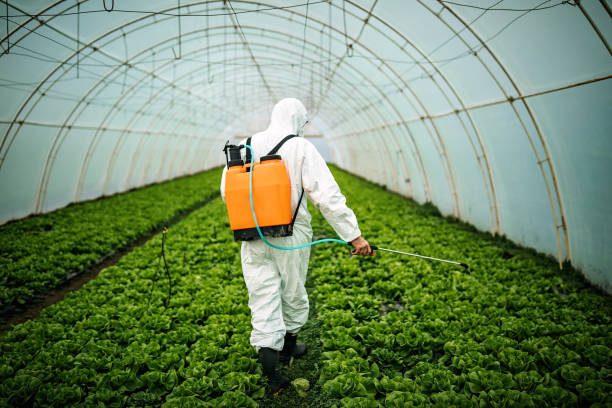 Best Mosquito Control Services  in Chattanoo Valley, GA