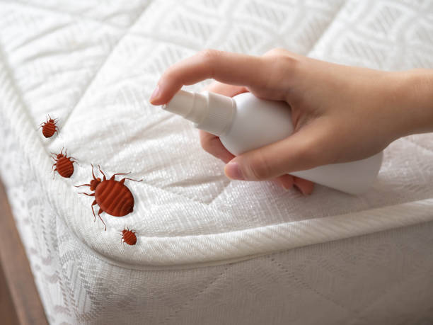 Best Pest Inspection Near Me  in Chattanoo Valley, GA