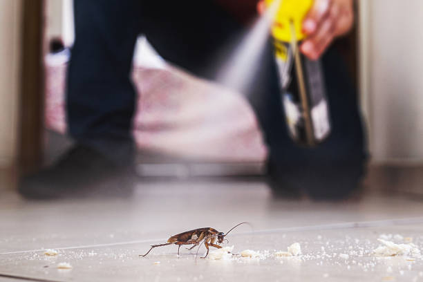 Best Pest Removal Services  in Chattanoo Valley, GA