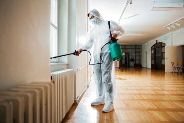 Reliable Chattanooga Valley, GA Pest Control Solutions