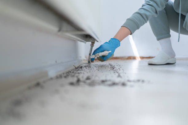 Best Commercial Pest Control Services  in Chattanoo Valley, GA